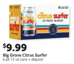 Fareway Big Grove Citrus Surfer offer
