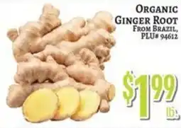 Trade Fair Supermarket Organic Ginger Root offer