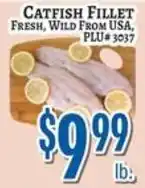 Trade Fair Supermarket Catfish Fillet offer