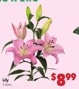 Vallarta Supermarkets Lily offer