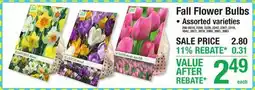 Menards Fall Flower Bulbs offer