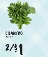 Foodarama Cilantro Bunch offer