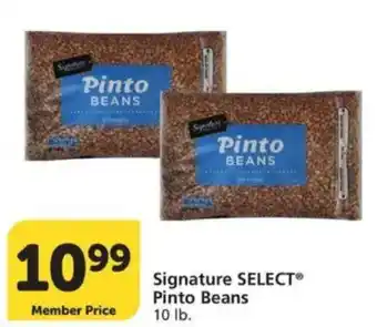 Signature Select Pinto Beans