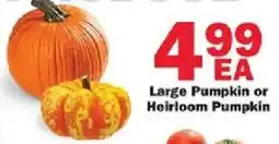 Schnucks Large Pumpkin or Heirloom Pumpkin offer