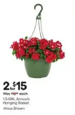Lowe's Annuals Hanging Basket offer