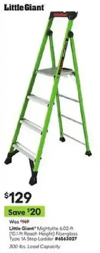 Lowe's Little Giant offer
