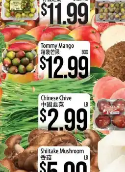 Hmart Tommy Mango offer