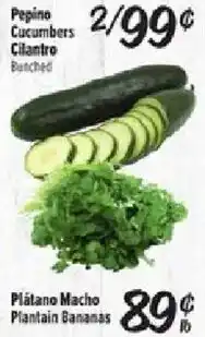 Fiesta Mart Pepino Cucumbers Cilantro Bunched offer