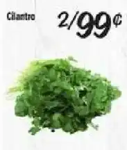 El Super Cilantro offer