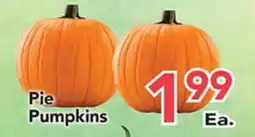 Eurofresh Market Pie Pumpkins offer