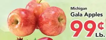 Eurofresh Market Michigan Gala Apples offer