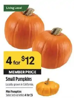 Raley's Small Pumpkins offer