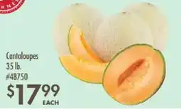 Smart & Final Cantaloupes offer