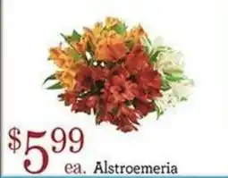 Yoke's Fresh Market Alstroemeria offer