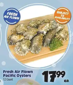 Times Supermarkets Fresh Air Flown Pacific Oysters offer
