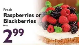 Festival Foods Fresh Raspberries or Blackberries offer