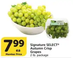 Albertsons Signature Select Autumn Crisp Grapes offer
