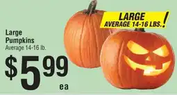 Smart & Final Large Pumpkins offer