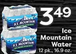 Rich's Fresh Market Ice Mountain Water offer