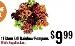 Jons International 11 Stem Fall Rainbow Pompons offer