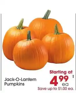 Giant Eagle Jack-O-Lantern Pumpkins offer