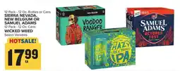 Food Lion Sierra Nevada, New Belgium or Samuel Adams offer
