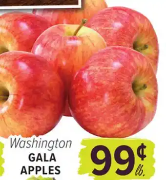 Cermak Fresh Market Washington GALA APPLES offer