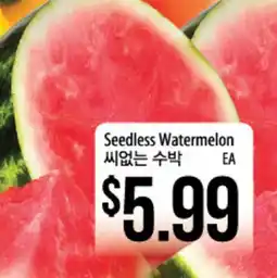 Hmart Seedless Watermelon offer