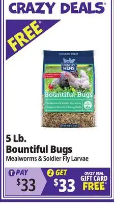 Ocean State Job Lot Hungry Hens Bountiful Bugs Chicken Treat 5 lbs offer