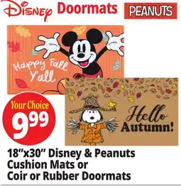 Ocean State Job Lot 18x30 Disney & Peanuts Cushion Mats or Coir or Rubber Doormats offer