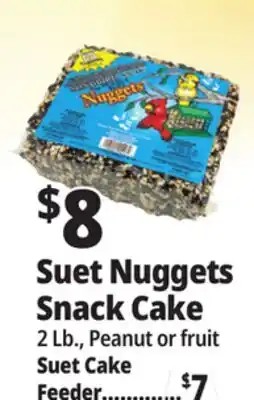 Ocean State Job Lot Suet Nuggets Snack Cake offer