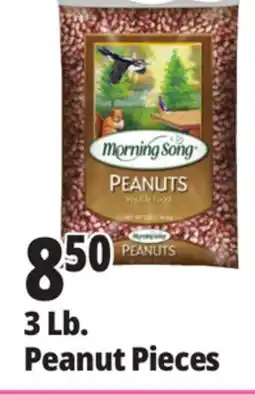 Ocean State Job Lot Audubon Peanut Pieces Bird Seed offer