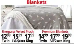Ocean State Job Lot Blankets offer