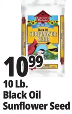 Ocean State Job Lot Farmer's Delight Black Oil Sunflower Seed 10 lbs offer