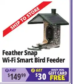 Ocean State Job Lot Feather Snap Seed Feeder offer