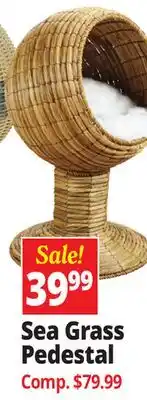 Ocean State Job Lot Sea Grass Pedestal offer