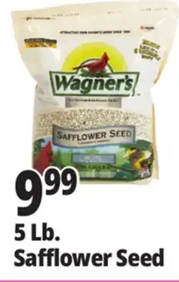 Ocean State Job Lot Wagner's Safflower Seed Deluxe Wild Bird Food offer