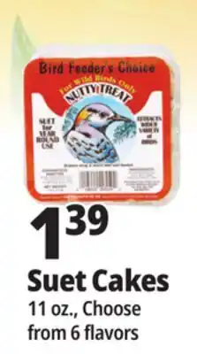 Ocean State Job Lot Suet Cakes offer