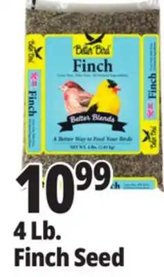 Ocean State Job Lot Better Bird Finch Bird Food 4 lbs offer