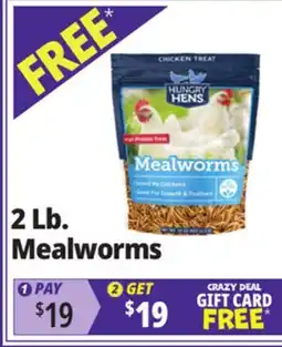 Ocean State Job Lot Hungry Hens Mealworms 2 lbs offer