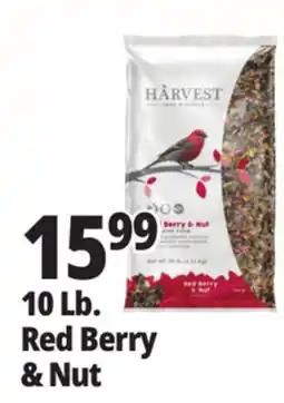 Ocean State Job Lot Harvest Seed & Supply Red Berry & Nut Wild Bird Food 10 lb offer