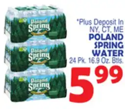 Bravo Supermarkets POLAND SPRING WATER offer
