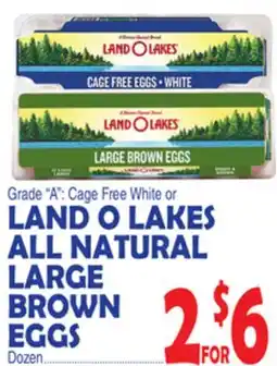 Bravo Supermarkets LAND O LAKES ALL NATURAL LARGE BROWN EGGS offer