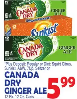 Bravo Supermarkets CANADA DRY GINGER ALE offer