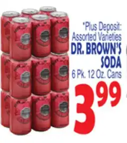 Bravo Supermarkets DR. BROWN'S SODA offer