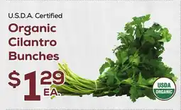 DeCicco & Sons Organic Cilantro Bunches offer