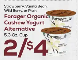 DeCicco & Sons Forager Organic Cashew Yogurt Alternative offer