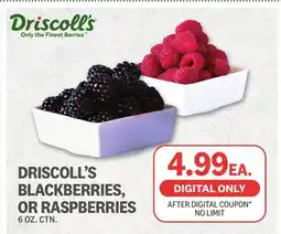Kings Food Markets DRISCOLL'S BLACKBERRIES, OR RASPBERRIES offer