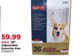 Runnings Adjustable Exercise Pen offer