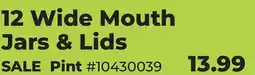 Runnings 12 Wide Mouth Jars & Lids offer